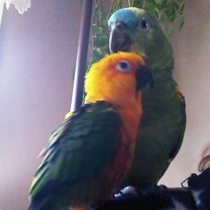 Meet your Posher, Terry